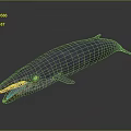 Blue Whale With Elongated Body Open Mouth And Yellow Throat On Gray Background
