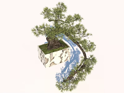 Modern Bonsai Bonsai Pine Tree Ornaments 3d model