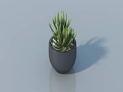 Green Bonsai Potted Plant in Black Pot on Smooth Gray Surface 3d model