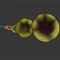 Vibrant Yellow And Purple Spotted Mushroom Like Creatures Arranged In A Line