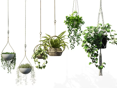 Hanging Plants in Woven and Wooden Baskets with Ferns Ivy for Indoor Greenery Decor 3d model