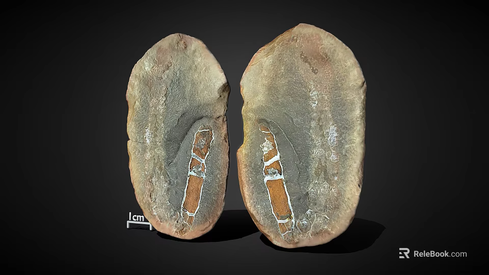 Two Wooden Stone Pieces with Orange White Stripes and 1cm Natural Texture 3d model 
