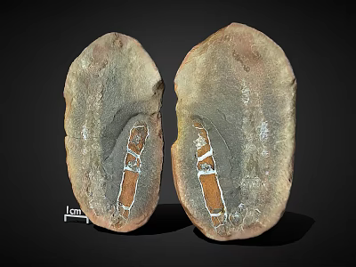 Two Wooden Stone Pieces with Orange White Stripes and 1cm Natural Texture 3d model
