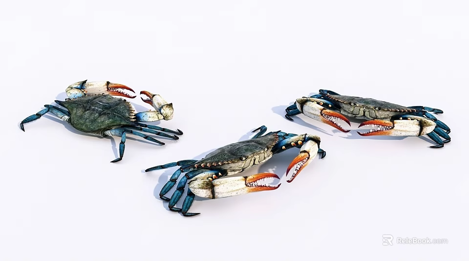Three Colorful Reptiles Displaying Blue Appendages And Orange Claws On White Surface 3d model 