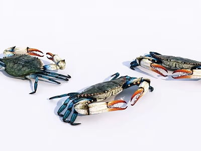 Three Colorful Reptiles Displaying Blue Appendages And Orange Claws On White Surface 3d model