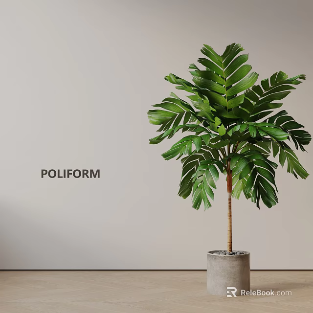 Indoor Potted Plant With Large Green Leaves And Slender Trunk In Gray Pot 3d model 