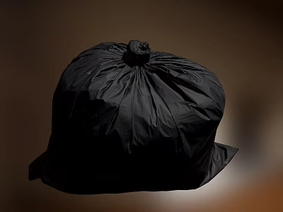 Premium Black Plastic Trash Bag with Tight Seal for Household Daily Waste Use 3d model