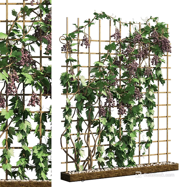 Green Wall With Climbing Plants Foliage And Purple Berries On Grid Structure 3d model 