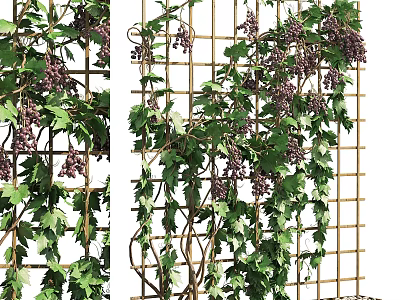 Green Wall With Climbing Plants Foliage And Purple Berries On Grid Structure 3d model
