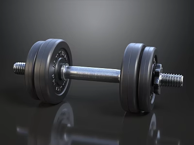 Black Dumbbell With Weight Plates And Metal Bar For Fitness Training 3d model