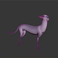 3D Model Light Purple Cat With Pink Ears Standing On Dark Reflective Background