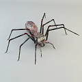 Spotted Reptile With Long Legs And Red Joints On White Background