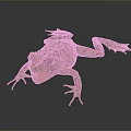Frog Poison Frog Game Frog Reptile Cold Blooded Animal Reptile 3d model