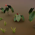 Diverse Green And Colorful Foliage Plants Arranged On Brown Background Surface