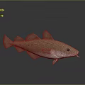 3D Modeled Fish With Light Brown Body White Underbelly Fins Eyes Whiskers Gray Background Reflection