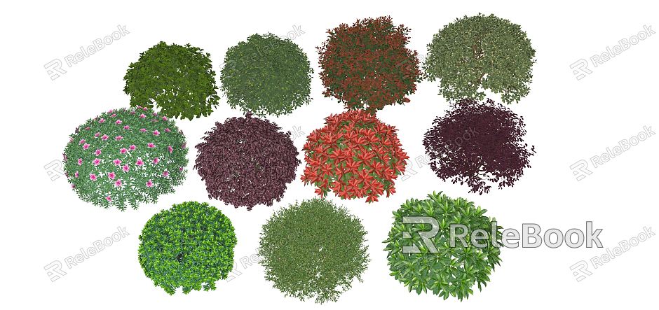 Modern shrub hedge ball shrub ball Haitong ball red leaf heather ball safflower relay wood ball boxwood ball azalea ball ligustrum ball model