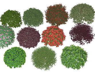 Modern shrub hedge ball shrub ball Haitong ball red leaf heather ball safflower relay wood ball boxwood ball azalea ball ligustrum ball 3d model