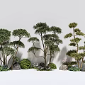 Plant cluster arbor shrub ball bright golden privet lollipop privet modeling tree 3d model