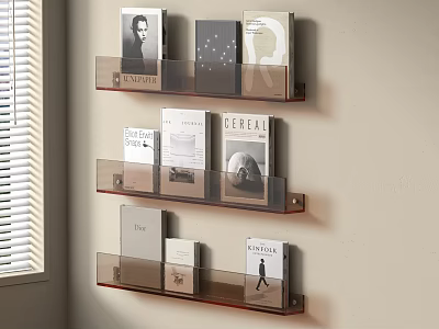Wall Mounted Floating Shelves Transparent Acrylic Tiered Design Holding Books Near Window With Blinds 3d model