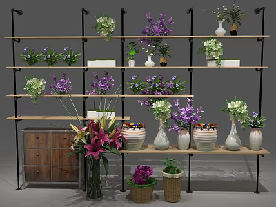 Stylish Garden Decorations on Multi Tiered Shelves with Various Potted Plants Vases and Wooden Cabinet 3d model