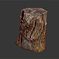 Natural Rustic Wooden Tree Stump With Surface Cracks And Stone Like Texture