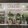 Flora Florist Shop With Various Green Plants And Decorative Plant Displays