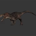 Realistic Fierce Carnivorous Dinosaur 3D Model Open Mouth Sharp Teeth Dynamic Pose