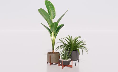 Modern potted plant green plant potted plant green plant furnishings 3d model