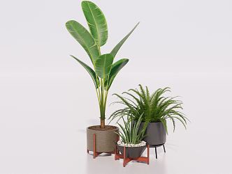 Modern potted plant green plant potted plant green plant furnishings 3d model