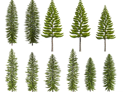Various Arbor Tree Varieties With Green Foliage Isolated on White Background 3d model