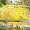 Modern Urban Park Landscape With Colorful Track Sports Field Trees Pink Flowers And Seating Areas