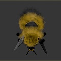 Bee Bee Hornet Peak Wasp Insect Animal Game Animal Cartoon Animal Animal 3d model