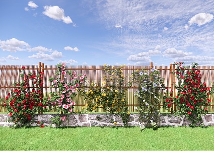 Modern Vine Flower Rack Vine Plant Combination Parthenocissus creeper Vine Rose Vine Plant Wall 3d model