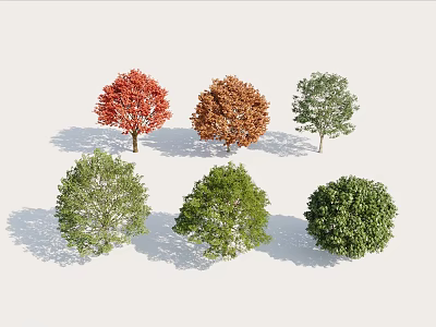 Colorful Trees With Red Orange And Green Foliage In Various Natural Shapes 3d model