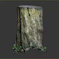 Rustic Wooden Stump Decorative Ornament With Natural Texture And Green Plants At Base