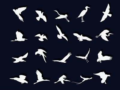 Flying Animals Various Silhouettes in Different Poses on Dark Background 3d model