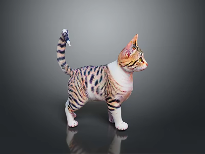 Striped Spotted Cat With White Belly Standing On Reflective Floor In Dark Background 3d model