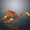 Artistic Detailed Golden Turtle Skeleton on Dark Background with Reflection