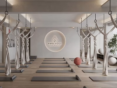 Prana Yoga Studio With Aerial Yoga Swings Mats Balls And Modern Interior Design 3d model