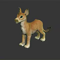 Orange Furred Animal With Large Ears White Underbelly And Black Tail Standing On Shiny Surface