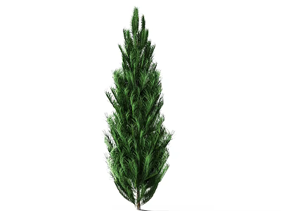 Tall Green Coniferous Arbor With Lush Foliage Straight Trunk And Natural Form 3d model