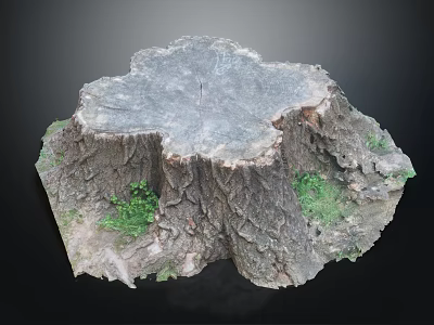 Tree Stump Shaped Wooden Stone Decorative Piece With Natural Texture And Green Plants 3d model