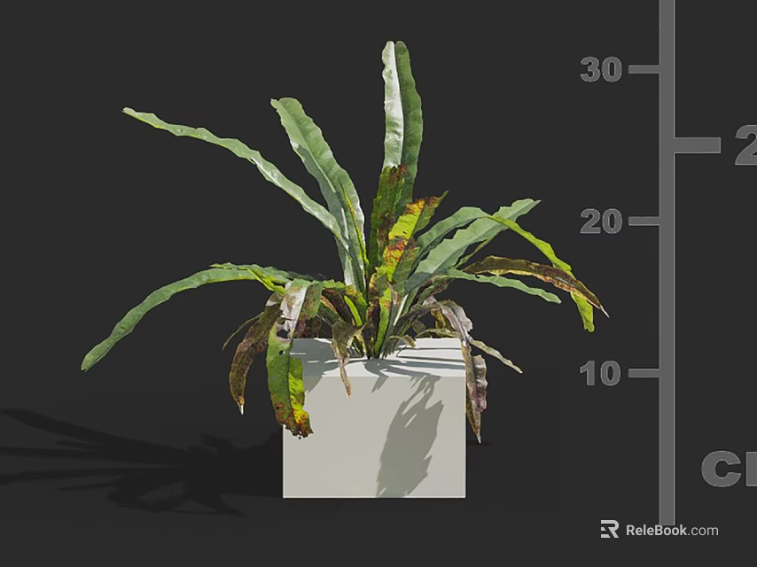 Bonsai Plant In White Square Pot With Long Green Leaves And Brown Edges 3d model 
