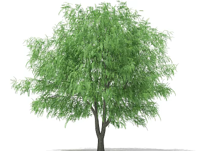 Lush Green Arbor Featuring Dense Foliage And Strong Trunk In Natural Environment 3d model
