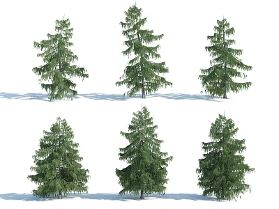 Six Tall Arbor Trees 3D Rendering With Green Foliage Isolated On White Background 3d model