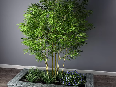 Lush Green Bamboo Potted Plant in Square Pot with Purple Flowers against Gray Wall 3d model