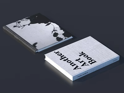 Two Notebooks With Black And White Pattern Cover And Another Art Book Title Design 3d model