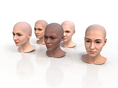 Multiple Bald Women Head Models Showcasing Various Skin Tones And Facial Features 3d model