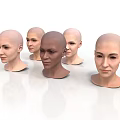 Multiple Bald Women Head Models Showcasing Various Skin Tones And Facial Features