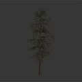 Isolated Tree With Brown Trunk And Green Leaves Against Gray Gradient Background